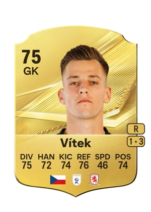Vítek 75 GK