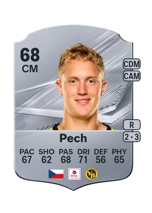 Pech 68 CM