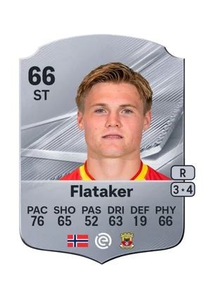 Flataker 66 ST