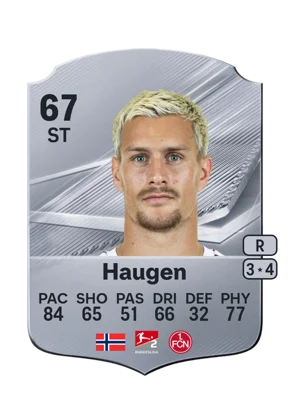 Haugen 67 ST