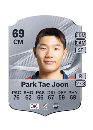 Park Tae Joon 69 CM