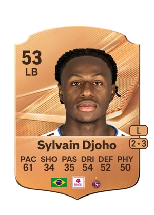 Sylvain Djoho 53 LB