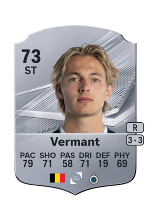 Vermant 73 ST