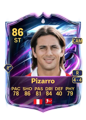 Pizarro 86 ST