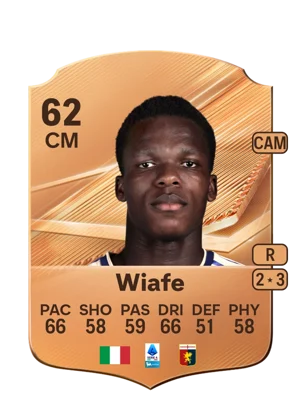 Wiafe 62 CM