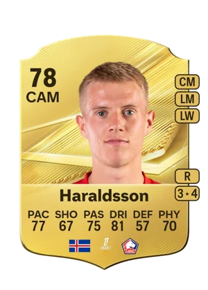 Haraldsson 78 CAM