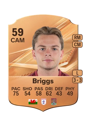 Briggs 59 CAM