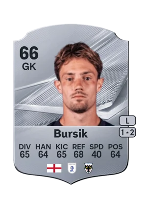 Bursik 66 GK
