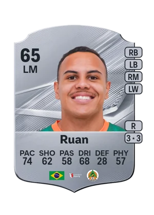 Ruan 65 LM
