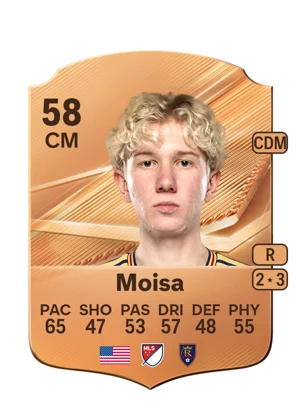 Moisa 58 CM