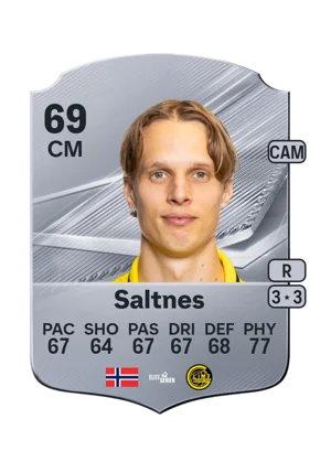 Saltnes 69 CM