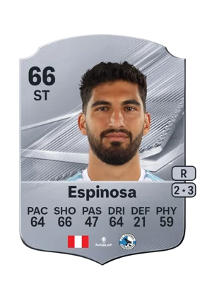 Espinosa 66 ST