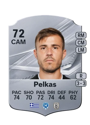 Pelkas 72 CAM