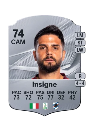 Insigne 74 CAM