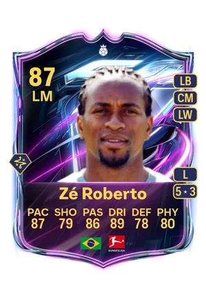 Zé Roberto 87 LM