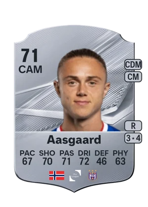 Aasgaard 71 CAM