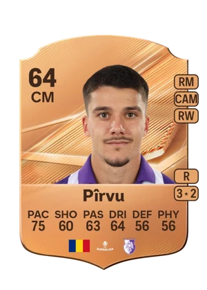 Pîrvu 64 CM