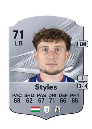 Styles 71 LB