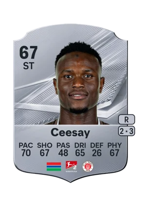 Ceesay 67 ST