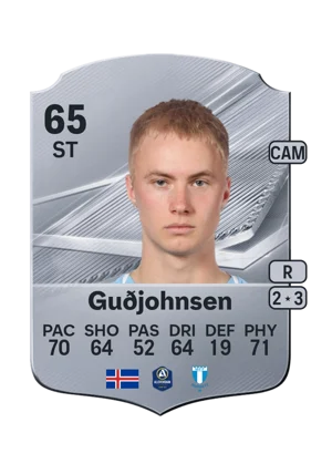 Guðjohnsen 65 ST