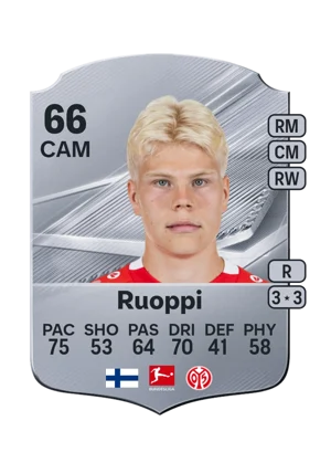 Ruoppi 66 CAM