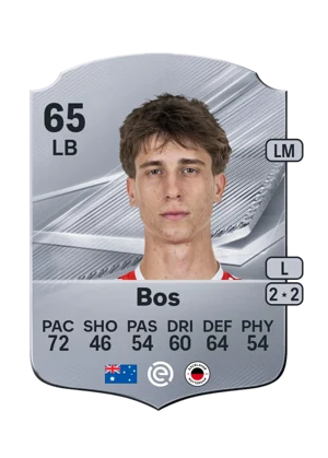 Bos 65 LB
