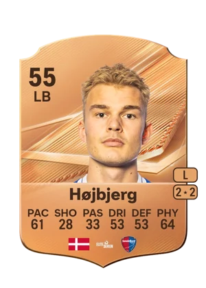 Højbjerg 55 LB