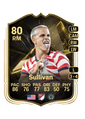 Sullivan 80 RM
