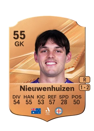 Nieuwenhuizen 55 GK