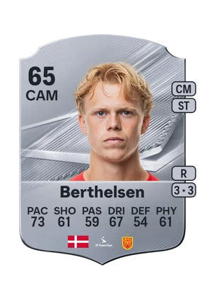 Berthelsen 65 CAM
