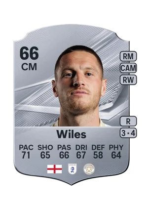 Wiles 66 CM
