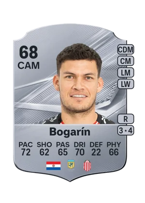 Bogarín 68 CAM