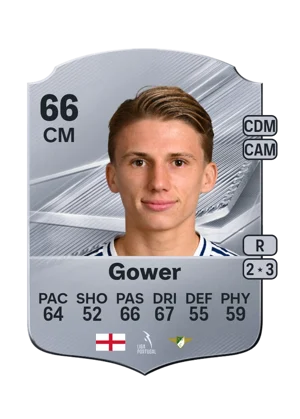 Gower 66 CM