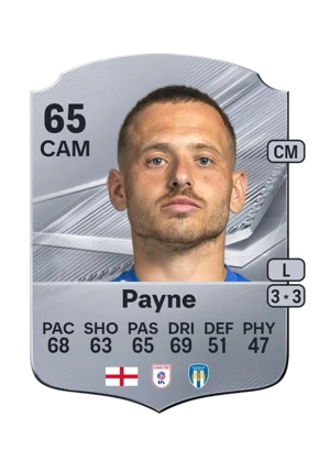 Payne 65 CAM