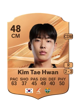 Kim Tae Hwan 48 CM