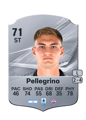 Pellegrino 71 ST