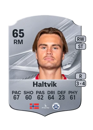 Haltvik 65 RM