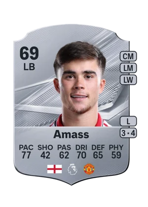 Amass 69 LB