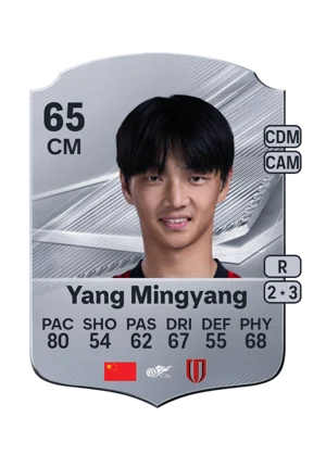 Yang Mingyang 65 CM