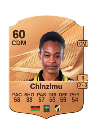 Chinzimu 60 CDM