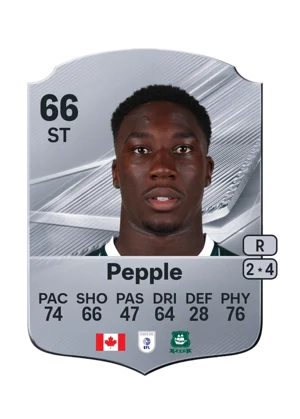 Pepple 66 ST