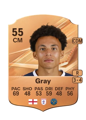 Gray 55 CM