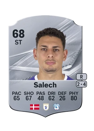 Salech 68 ST