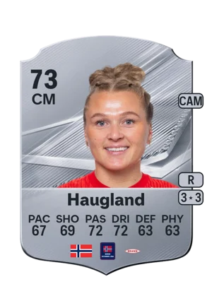 Haugland 73 CM