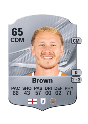 Brown 65 CDM
