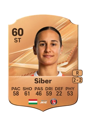 Siber 60 ST