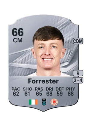 Forrester 66 CM