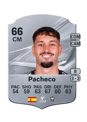 Pacheco 66 CM