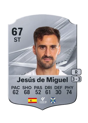 Jesús de Miguel 67 ST