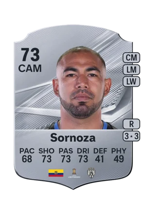 Sornoza 73 CAM